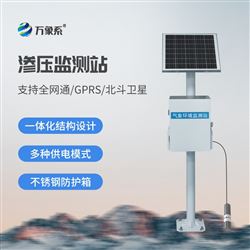 WX-SY1一体化空隙渗压监测站