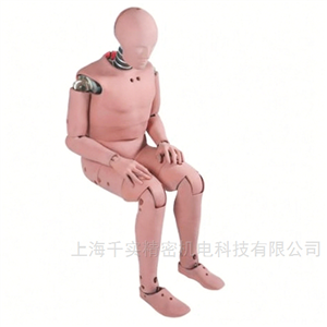 50百分位男性假人