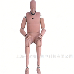 95百分位男性假人