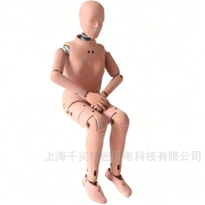 5百分位女性假人