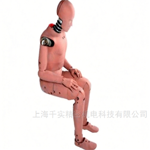 中國(guó)人體特征假人