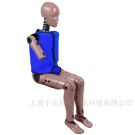 女性側面碰撞假人