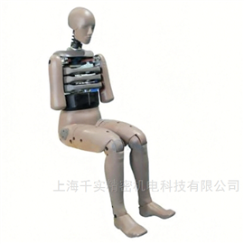 男性側面碰撞假人(RE型)