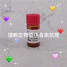 重組人指蛋白7（PHF7）蛋白