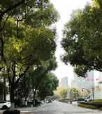 海南再落子！京东物流三大基建齐落地