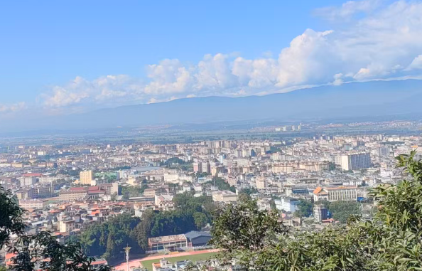 岳阳政务“四办一体” 打造企业服务“新范式”