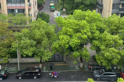 南京大学团队开发出面向侵入式脑机接口的高能效无线能量接收芯片