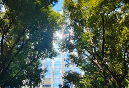 专家解读文章︱建立可再生能源消费最低比重目标制度，完善消纳责任权重制度，助力可再生能源高质量发展
