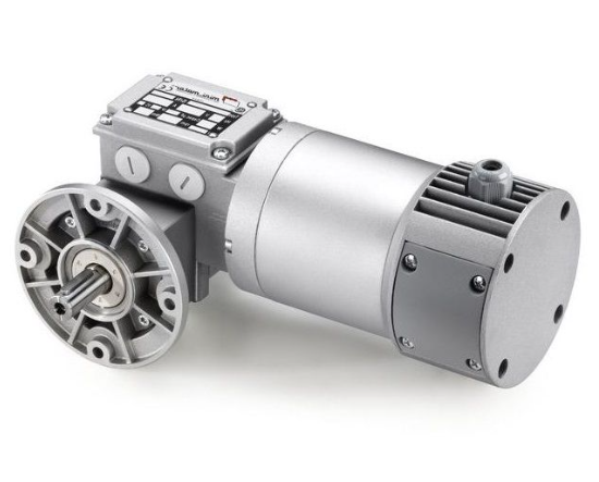 意大利Mini Motor MC 440P3T 10 B5微型马达