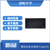 定向发声音响 指向性音箱